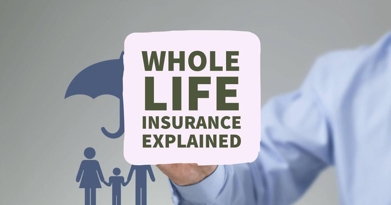 Landing insurance auto quotes online design best Landing insurance auto quotes online design best