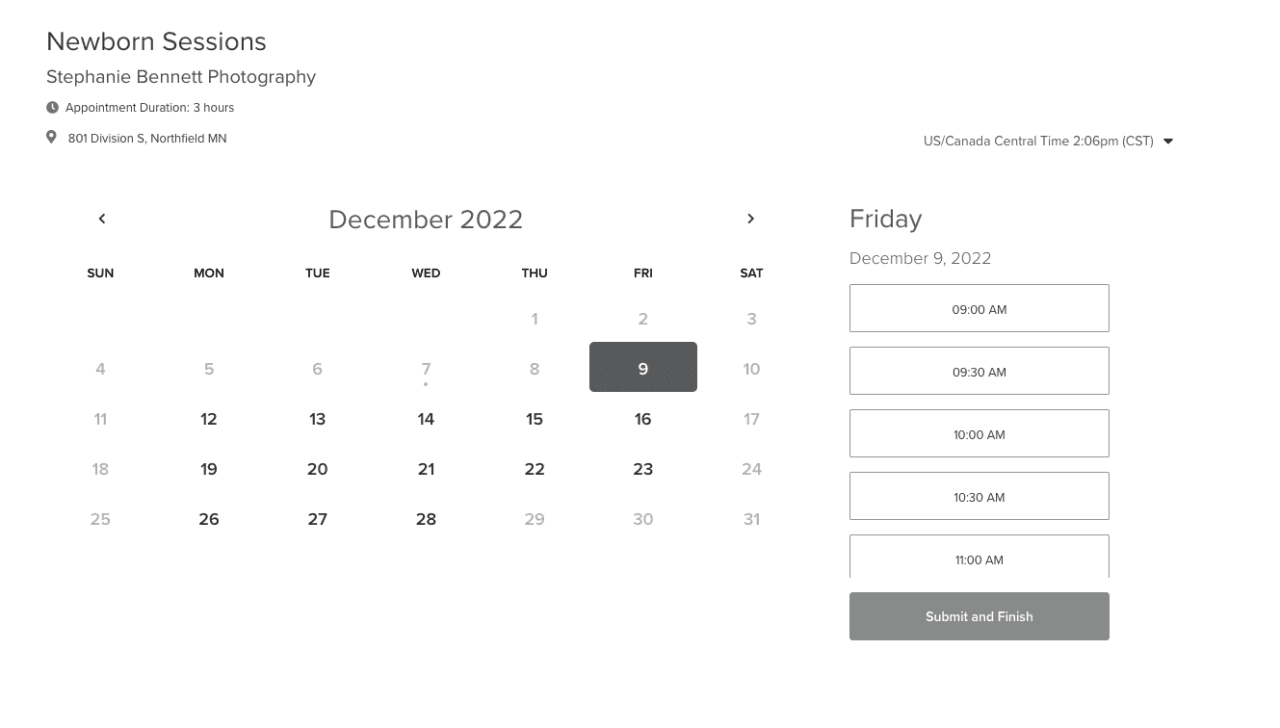 Dubsado crm for creatives