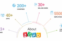 Zoho crm