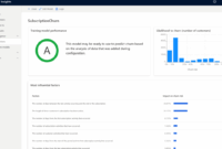 Customer insights software