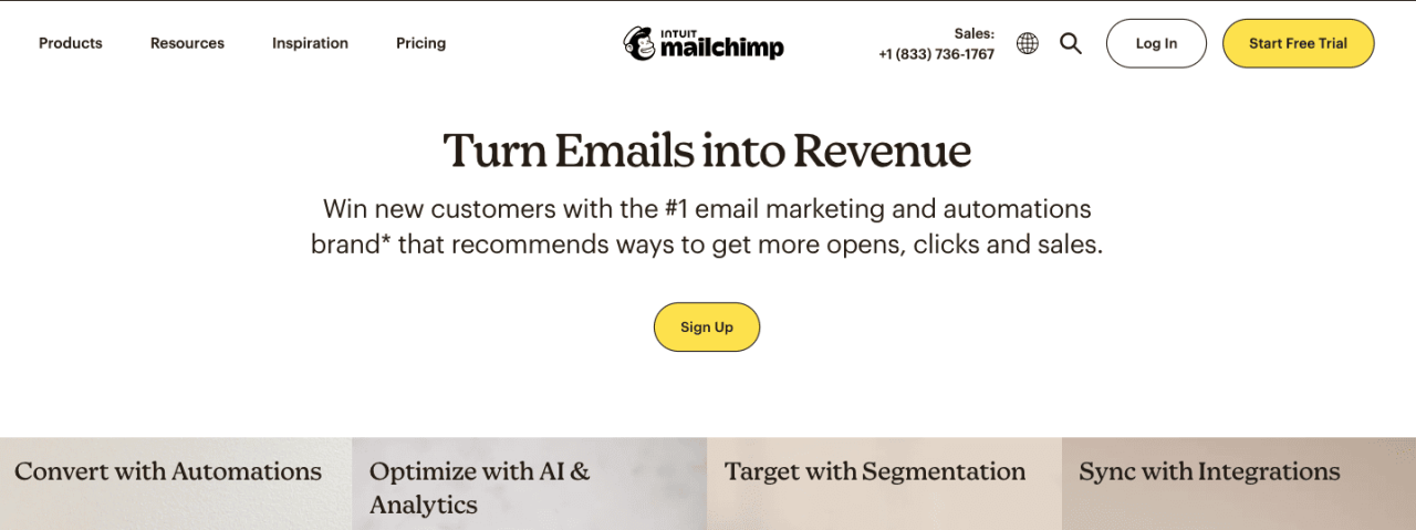 Mailchimp crm