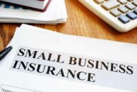 Insurance health small business options employees costs guide