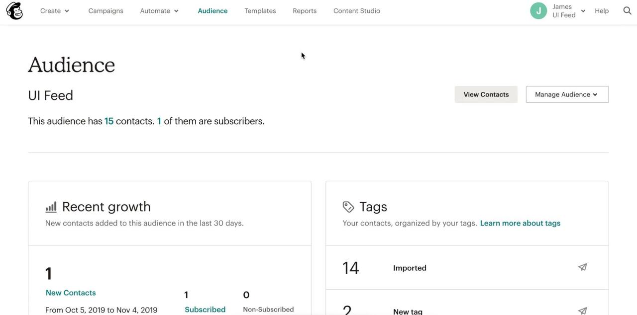 Mailchimp integration insightly tracking email crm configurable subscribers dashboards campaigns